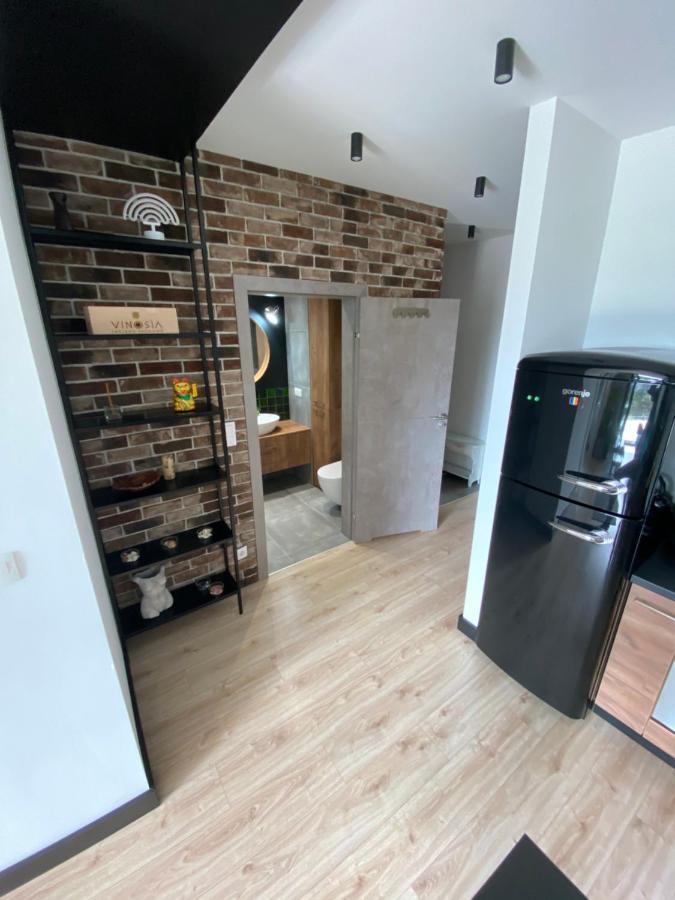クラクフApartament Delux Przy Wisleアパートメント エクステリア 写真